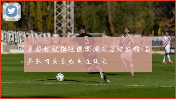 王楚钦被指轻视樊振东后续发酵 国乒队内关系成关注焦点