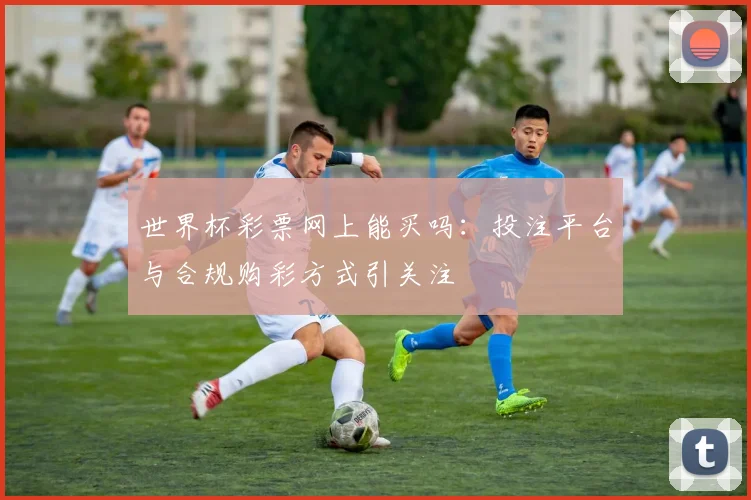世界杯彩票网上能买吗：投注平台与合规购彩方式引关注